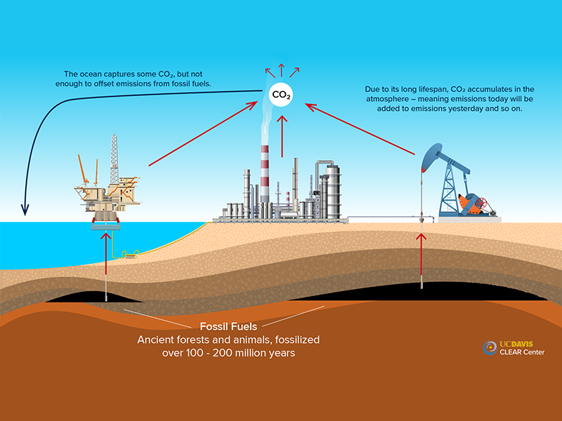 Fight Against Climate Change