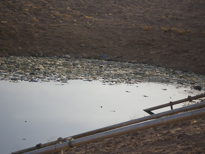 Human and Environment Health